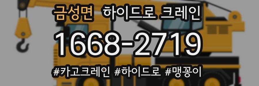 금성면 하이드로 크레인