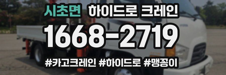 시초면 하이드로 크레인