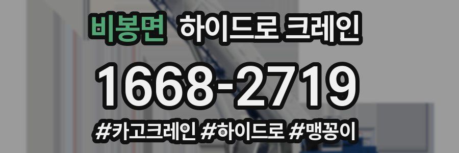 비봉면 하이드로 크레인