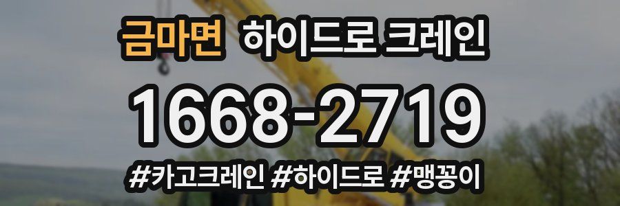 금마면 하이드로 크레인