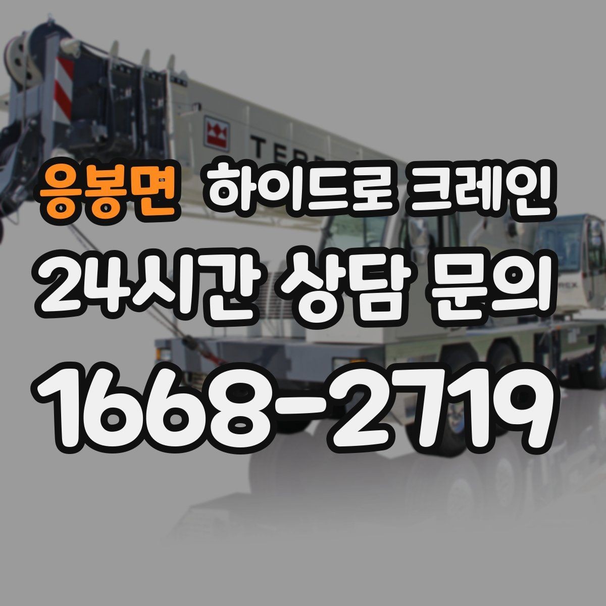 응봉면 하이드로 크레인 나무 식재 장비 반입이 필요할 때