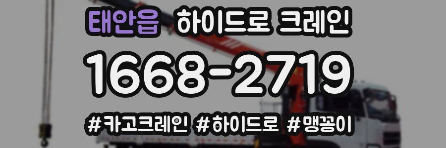 태안읍 하이드로 크레인