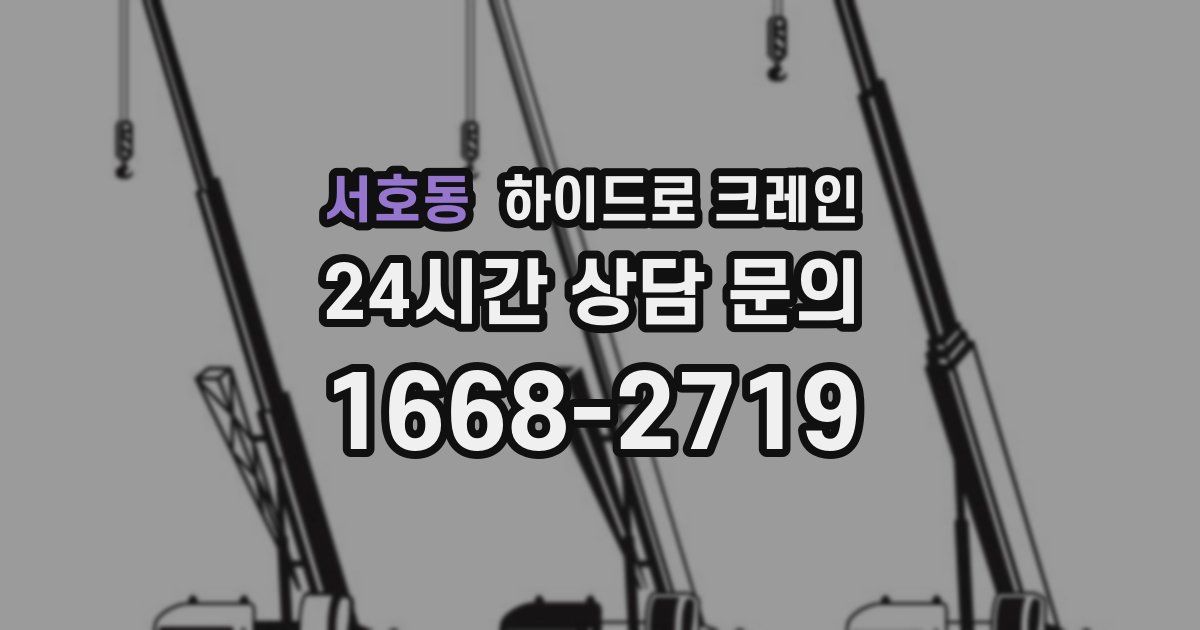 서호동 하이드로 크레인