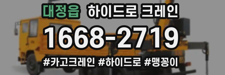 대정읍 하이드로 크레인