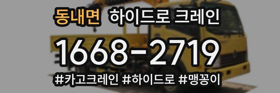 동내면 하이드로 크레인