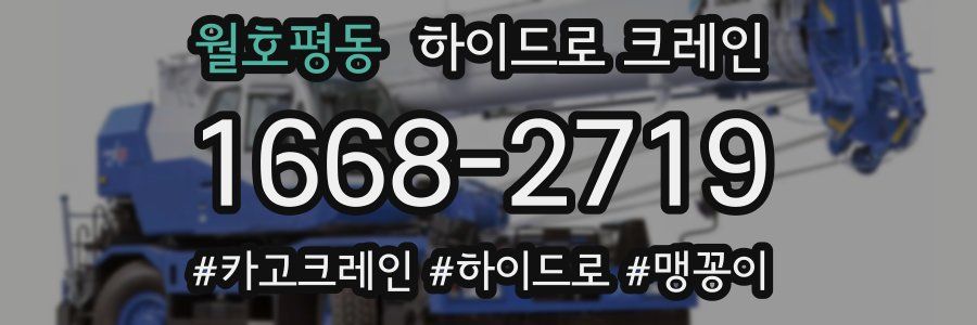 월호평동 하이드로 크레인