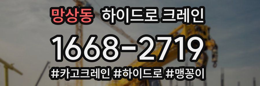 망상동 하이드로 크레인