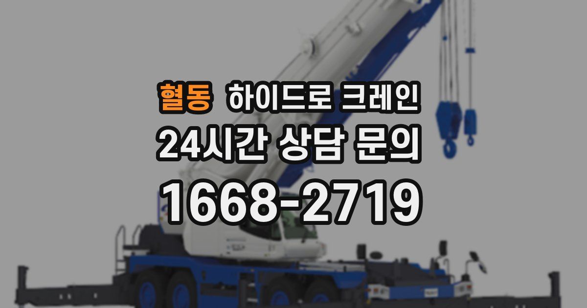 혈동 하이드로 크레인