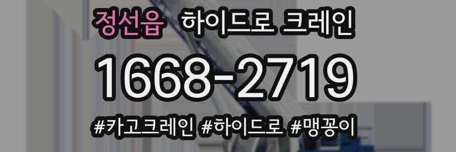 정선읍 하이드로 크레인