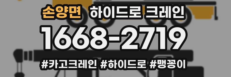 손양면 하이드로 크레인