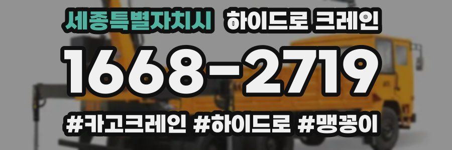 세종특별자치시 하이드로 크레인