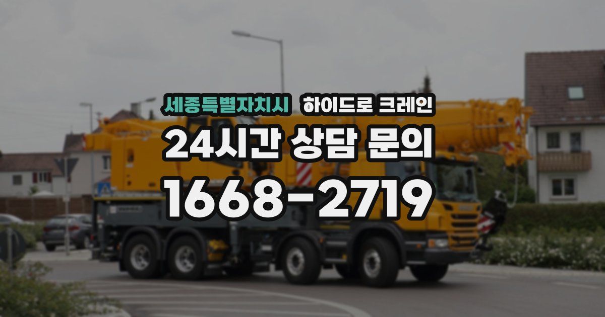 세종특별자치시 하이드로 크레인