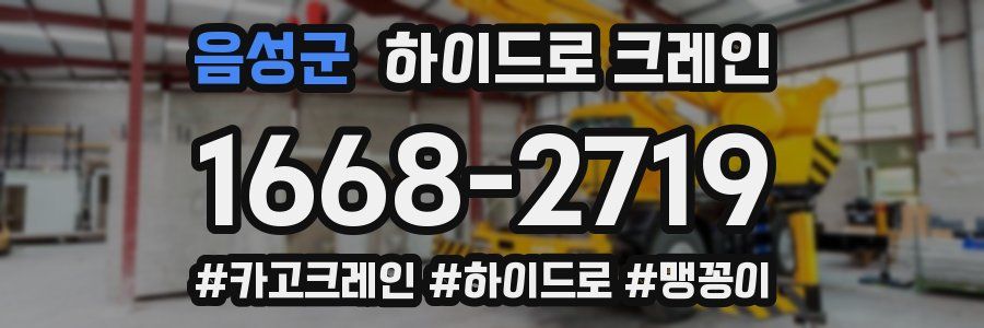 음성군 하이드로 크레인
