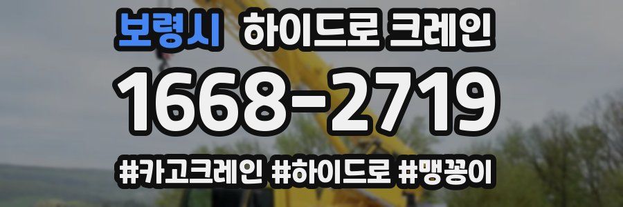 보령시 하이드로 크레인