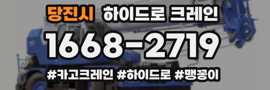 당진시 하이드로 크레인