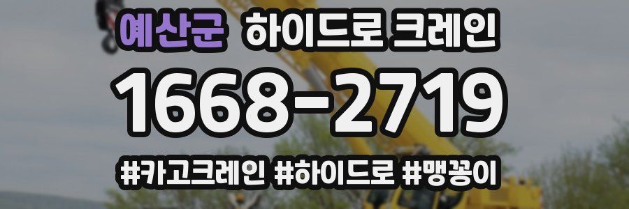 예산군 하이드로 크레인