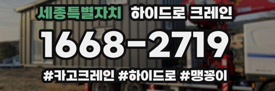 세종특별자치 하이드로 크레인