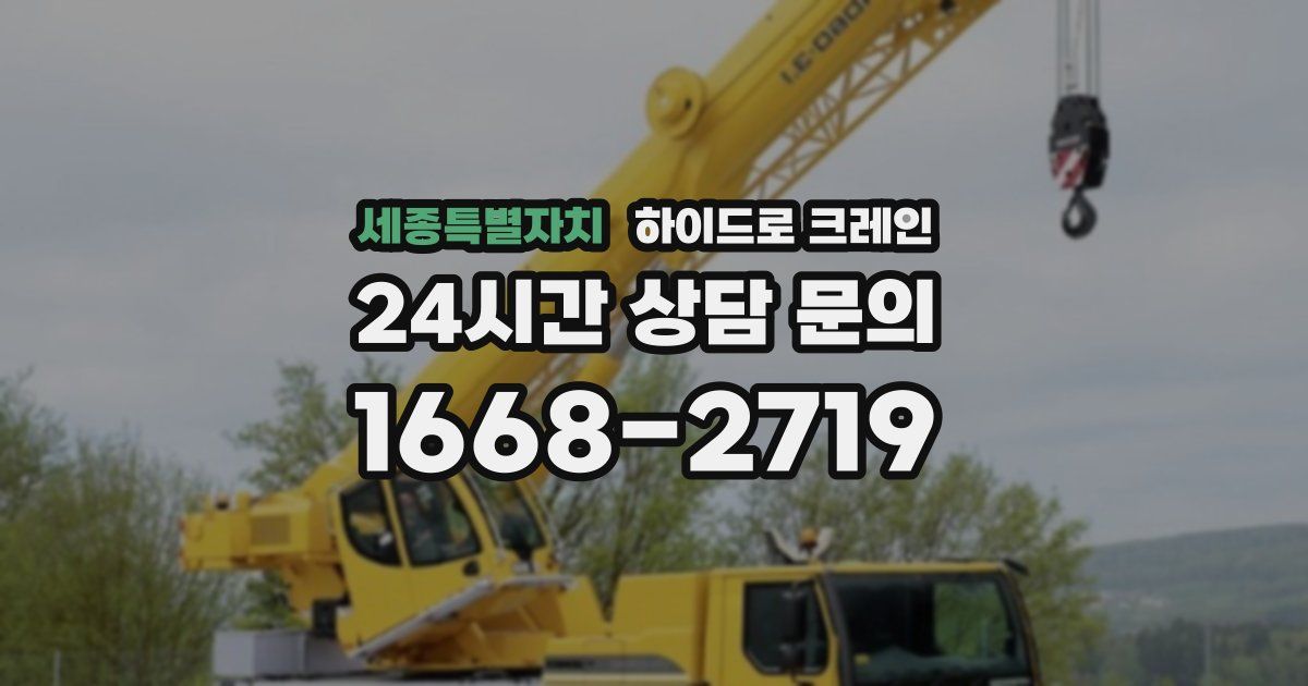 세종특별자치 하이드로 크레인