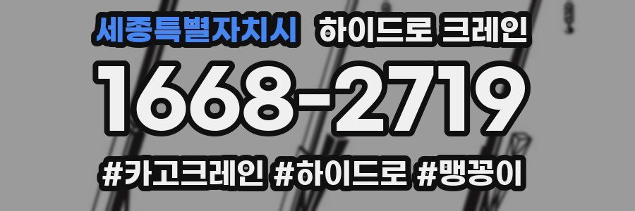 세종특별자치시 하이드로 크레인