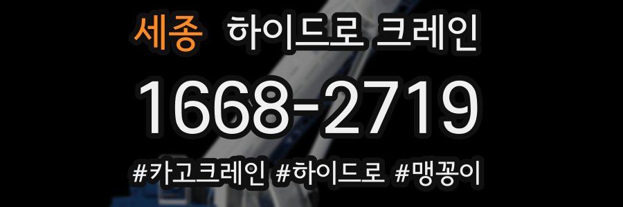 세종 하이드로 크레인
