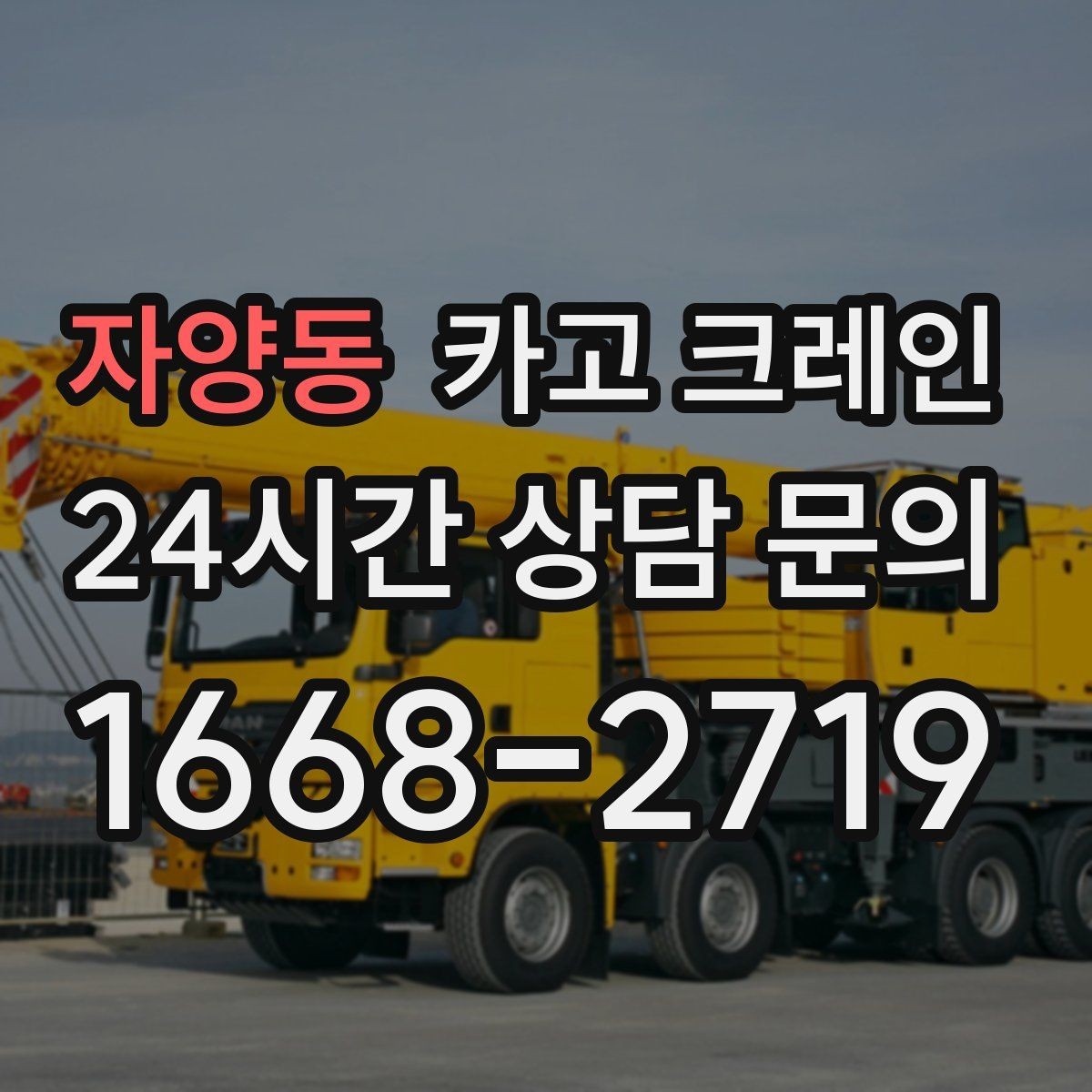 자양동 카고 크레인 긴급 배차 가능한 상황 정리