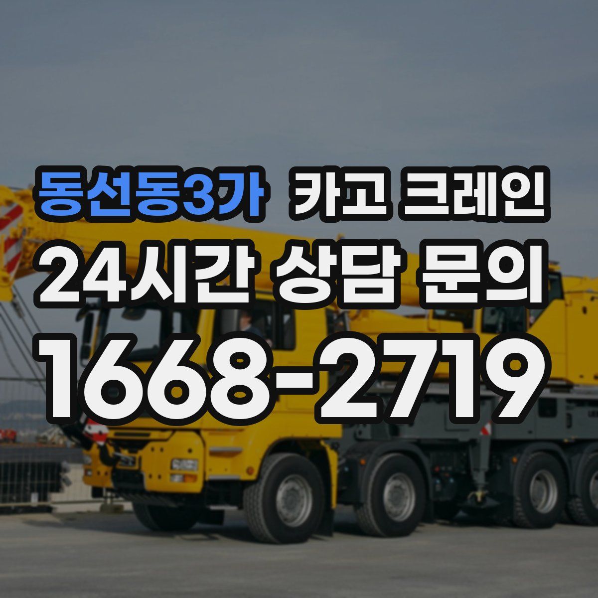 동선동3가 카고 크레인