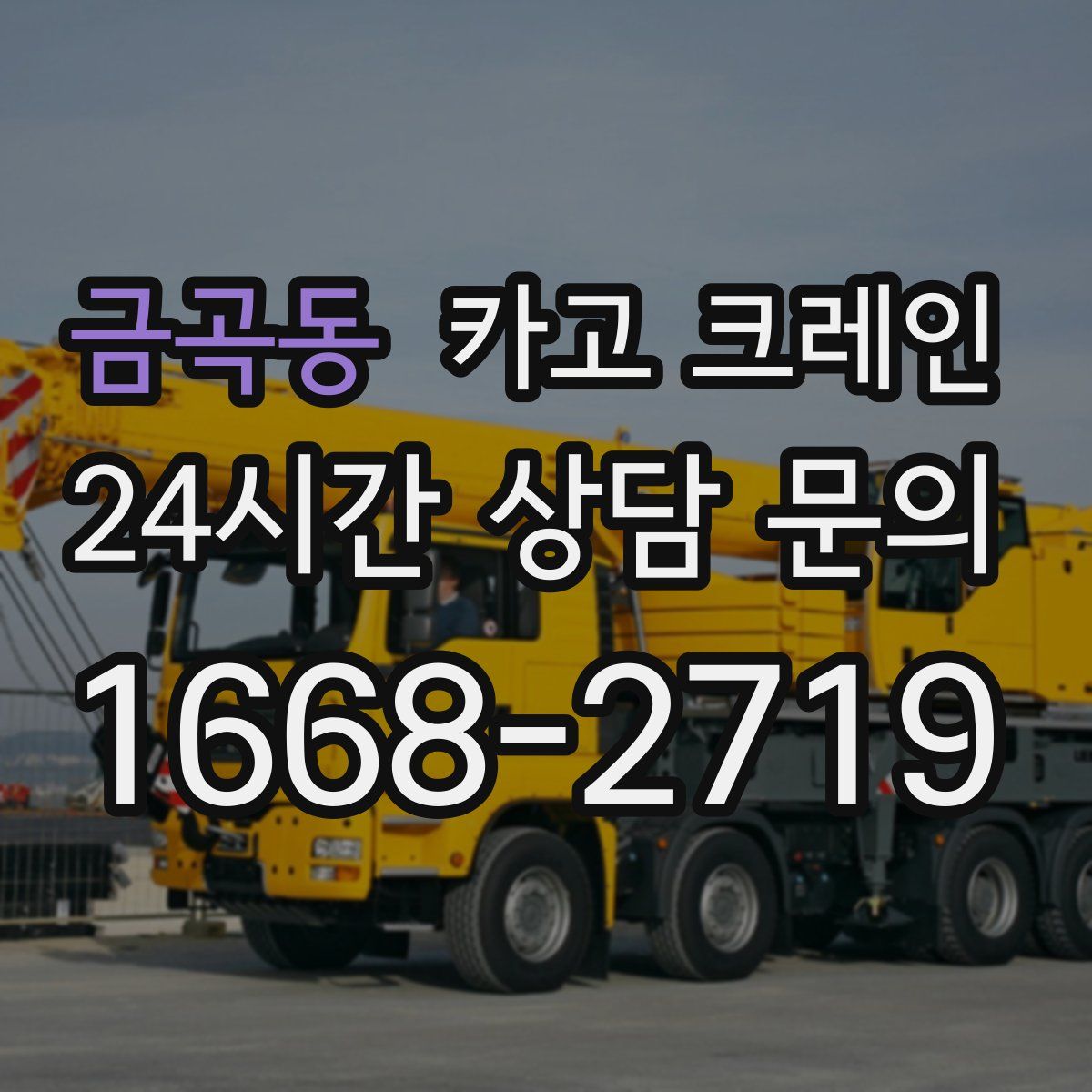 금곡동 카고 크레인