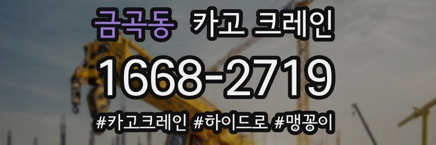 금곡동 크레인 작업