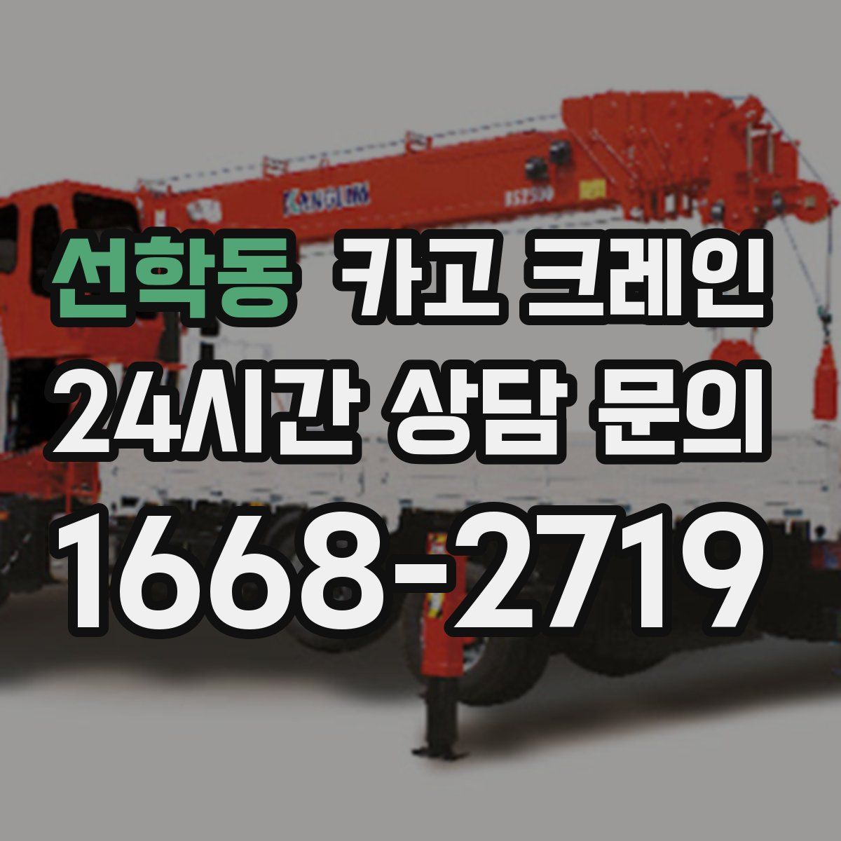 선학동 카고 크레인