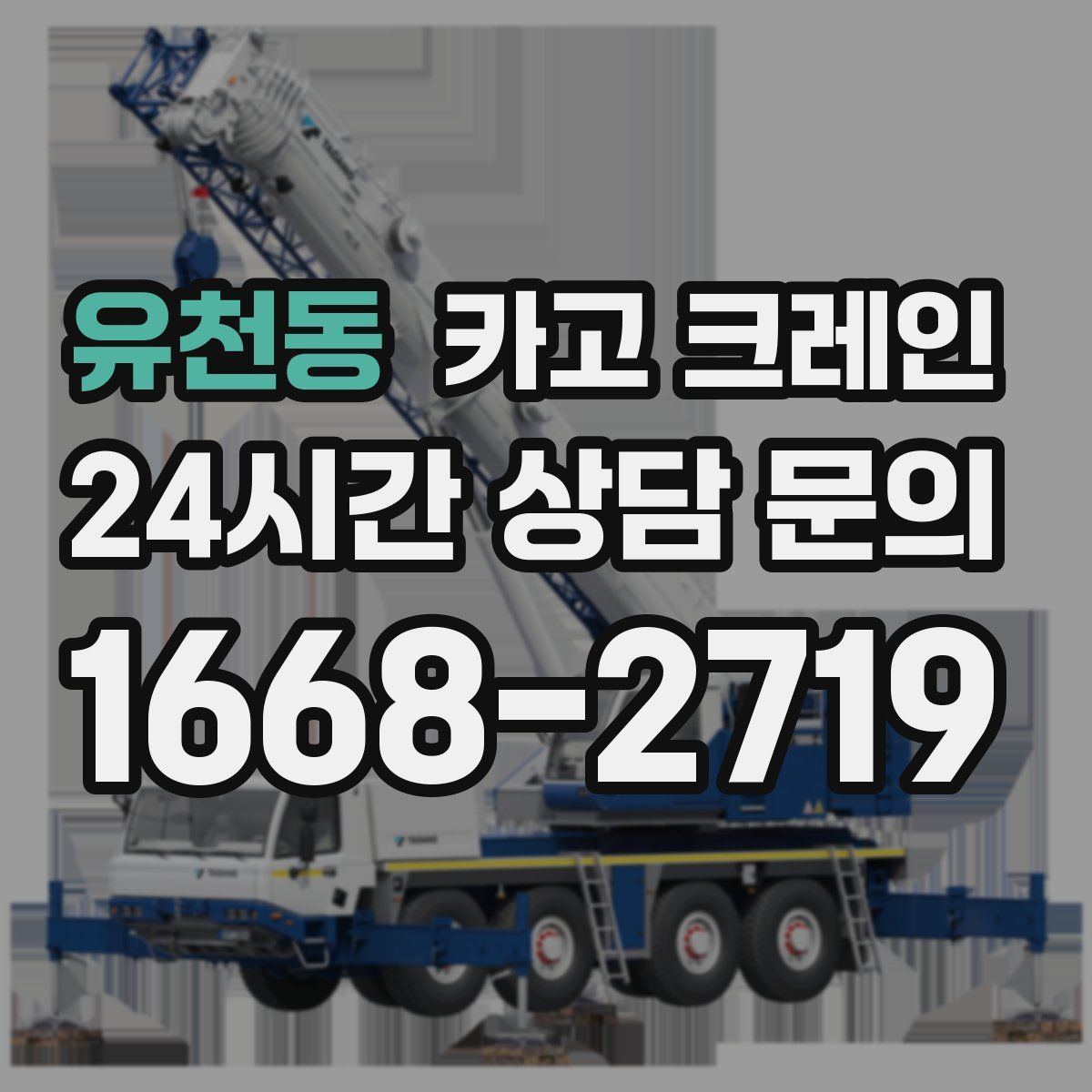 유천동 카고 크레인