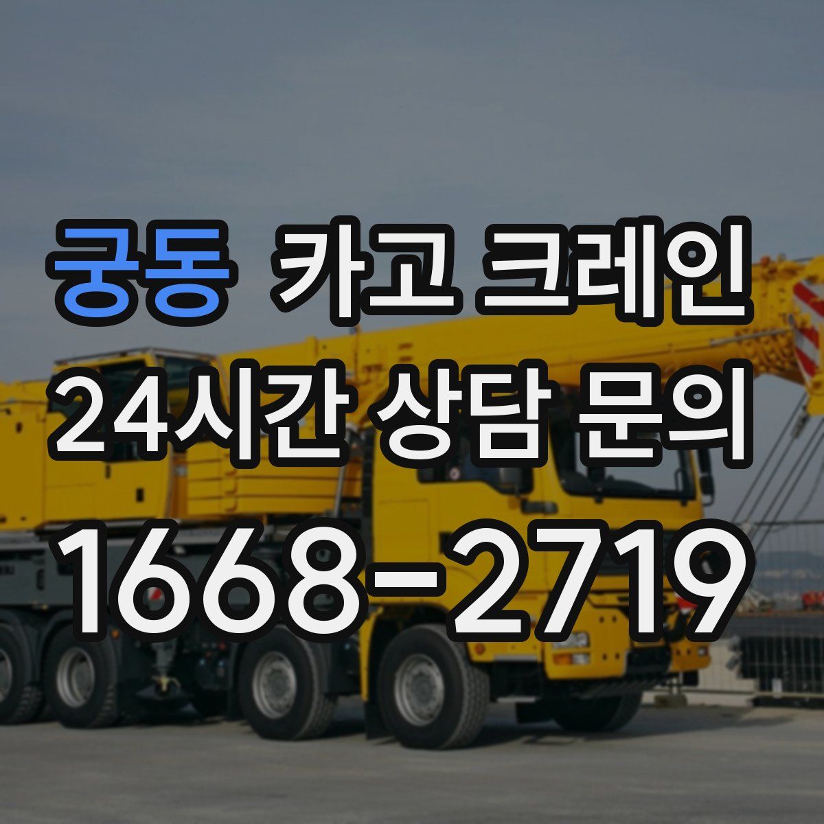 궁동 카고 크레인