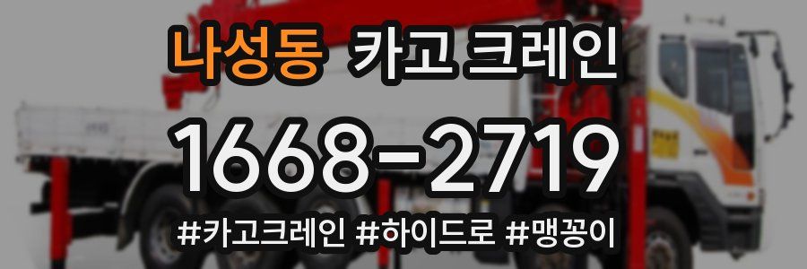 나성동 크레인 작업