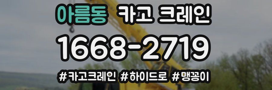 아름동 크레인 작업