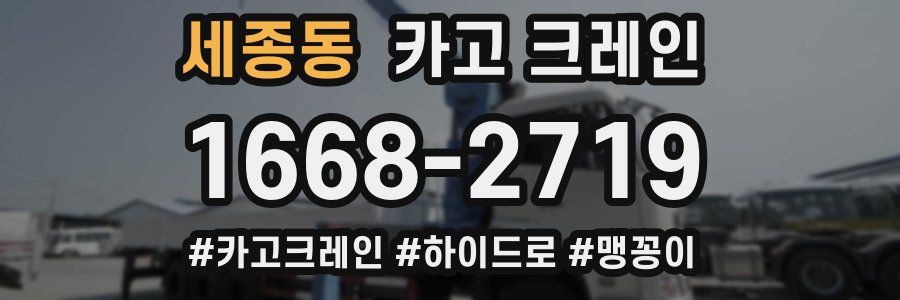 세종동 크레인 작업