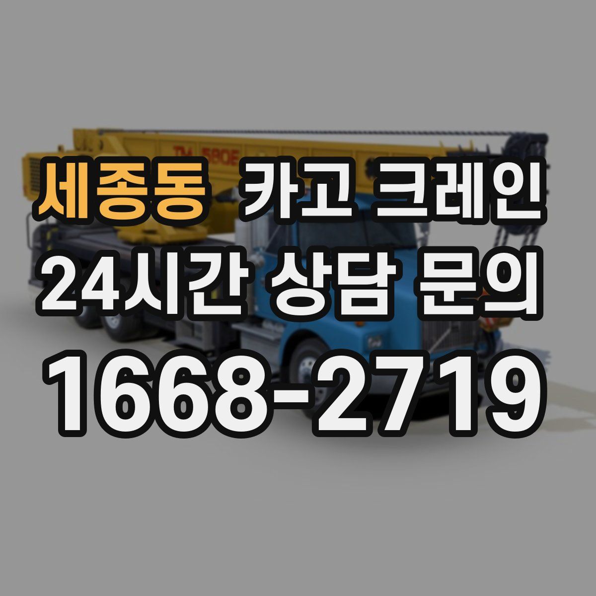 세종동 카고 크레인