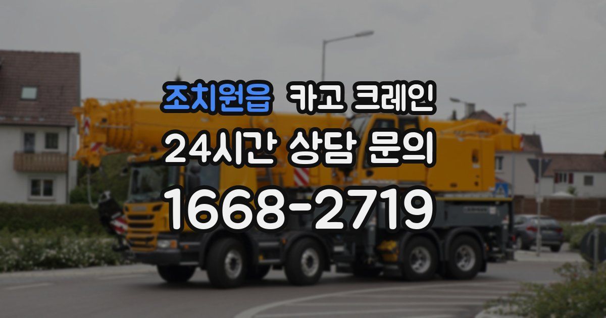 조치원읍 크레인