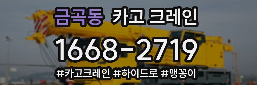 금곡동 크레인 작업