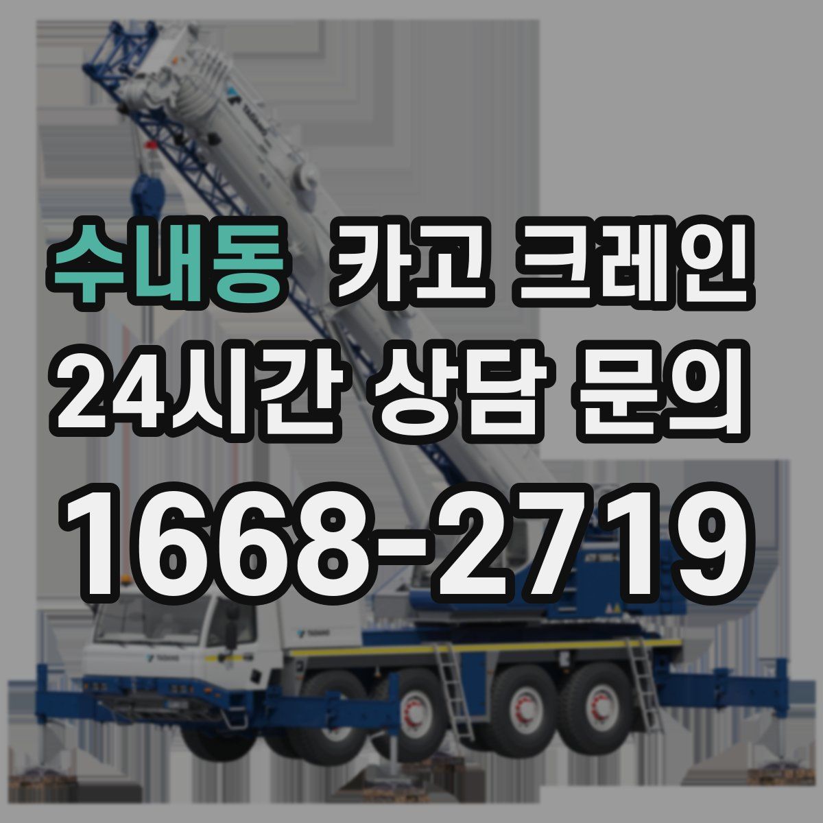 수내동 카고 크레인