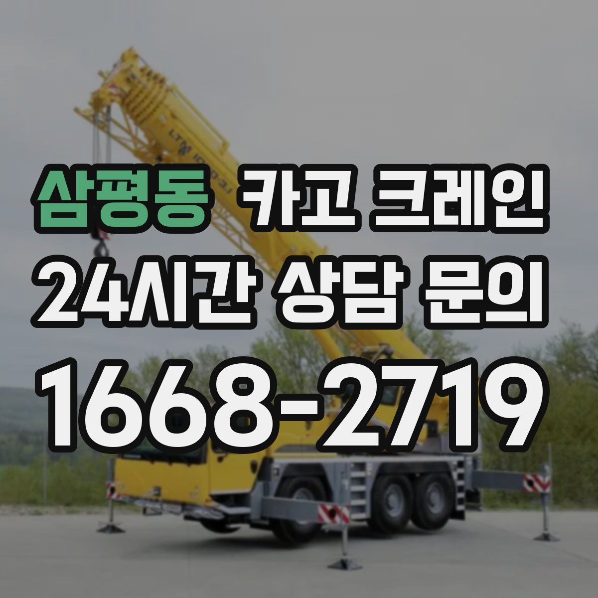 삼평동 카고 크레인