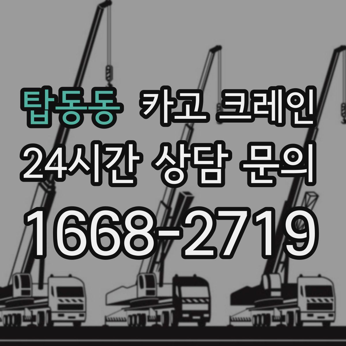 탑동동 카고 크레인