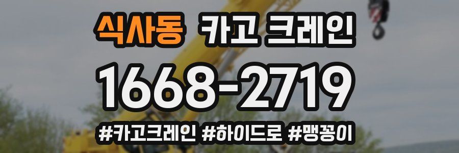 식사동 크레인 작업