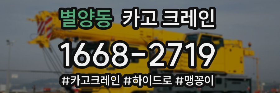 별양동 크레인 작업