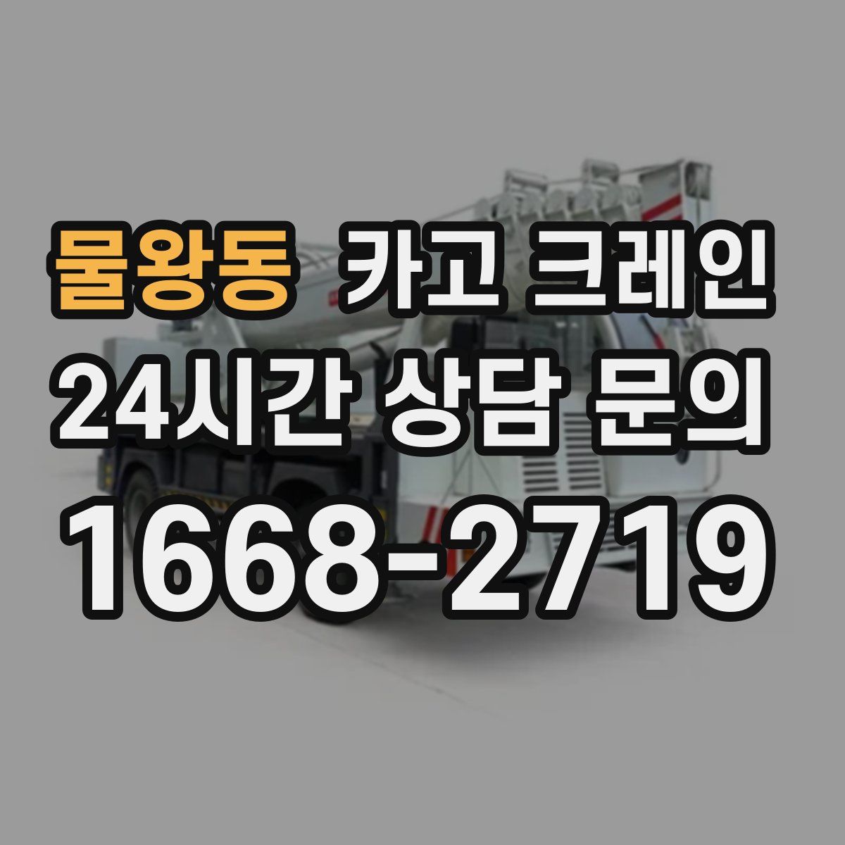 물왕동 카고 크레인