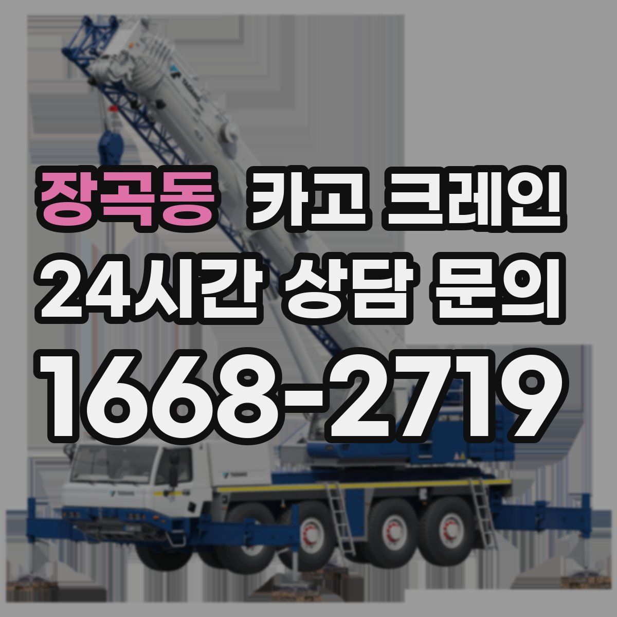 장곡동 카고 크레인