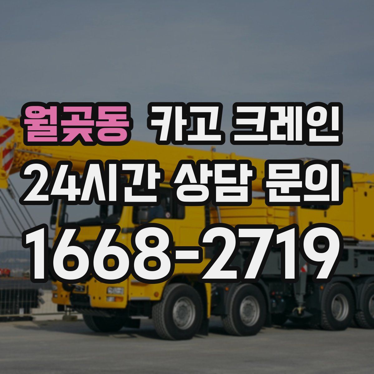 월곶동 카고 크레인