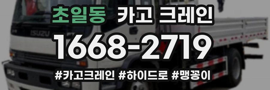 초일동 크레인 작업