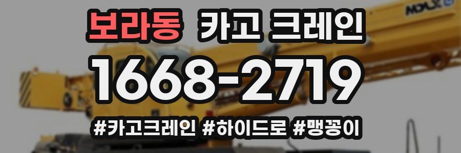 보라동 크레인 작업