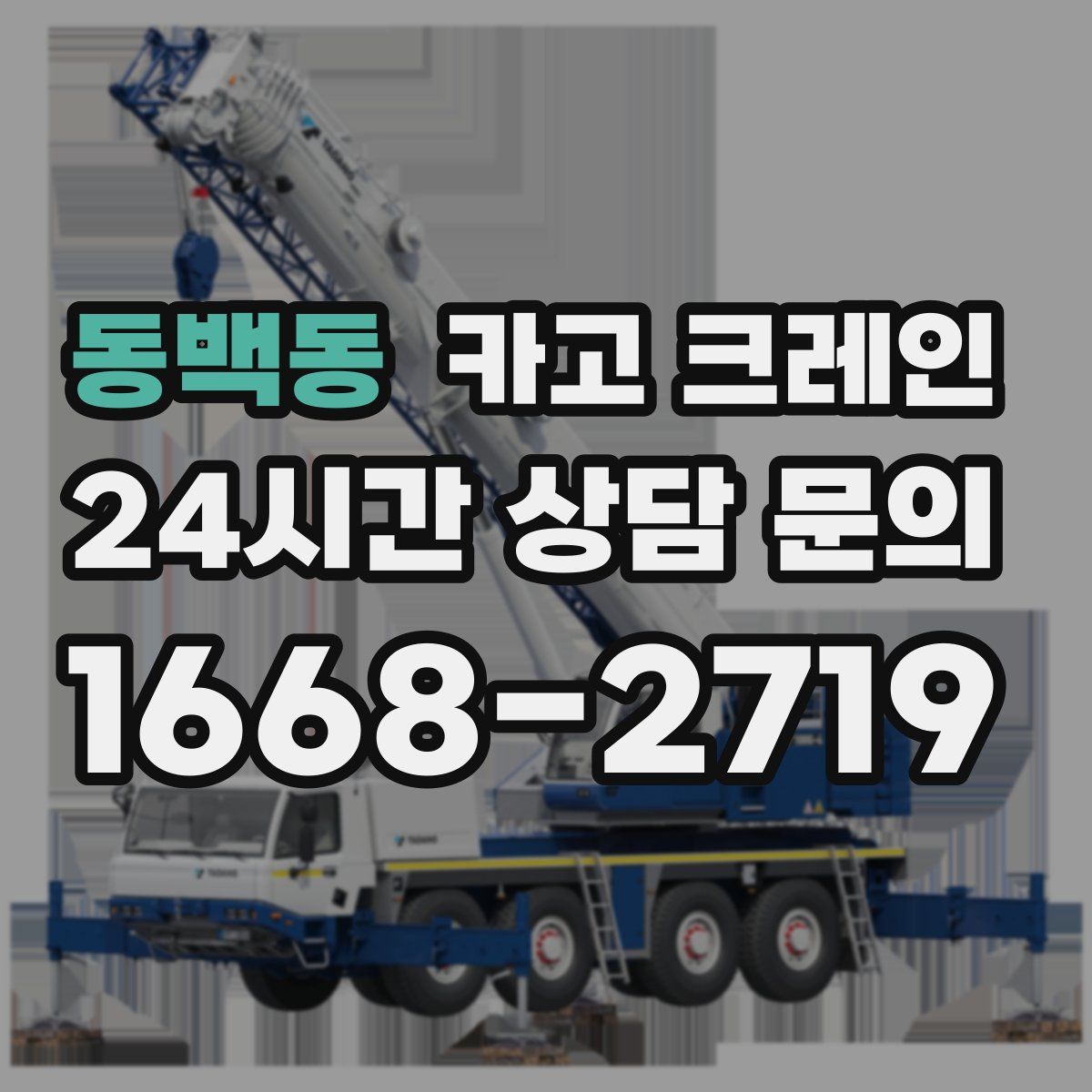 동백동 카고 크레인