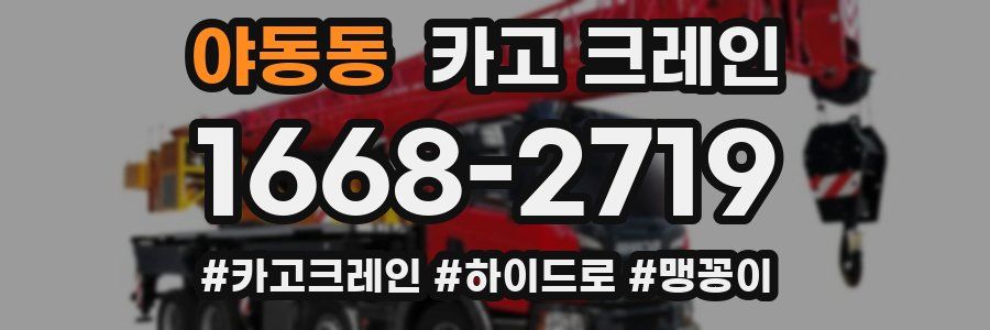 야동동 크레인 작업