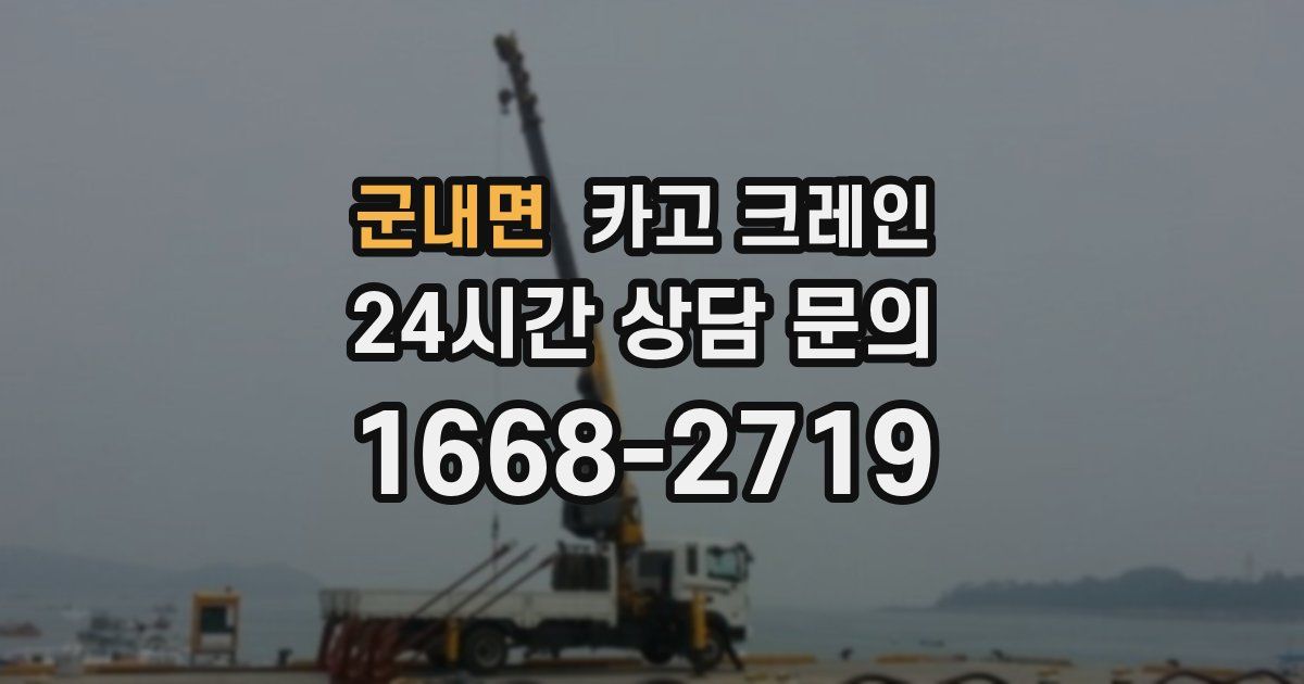 군내면 크레인
